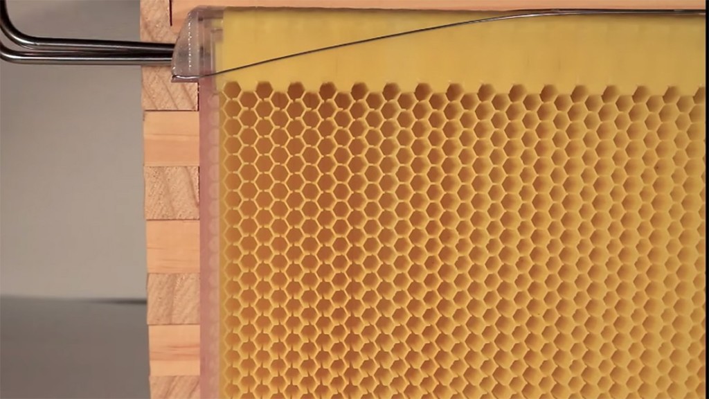 flow-hive-beehive-01-1100x619